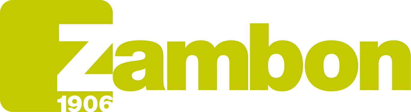 Logo ZAMBON COMPANY S.P.A.